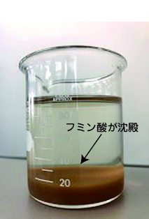 化学抽出では安全な状態でのフミン酸の水溶化は困難、安全な状態にすると必ずフミン酸は沈殿してしまう