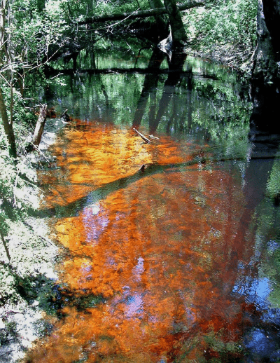 ブラックウォーターと呼ばれる、天然の酸性河川